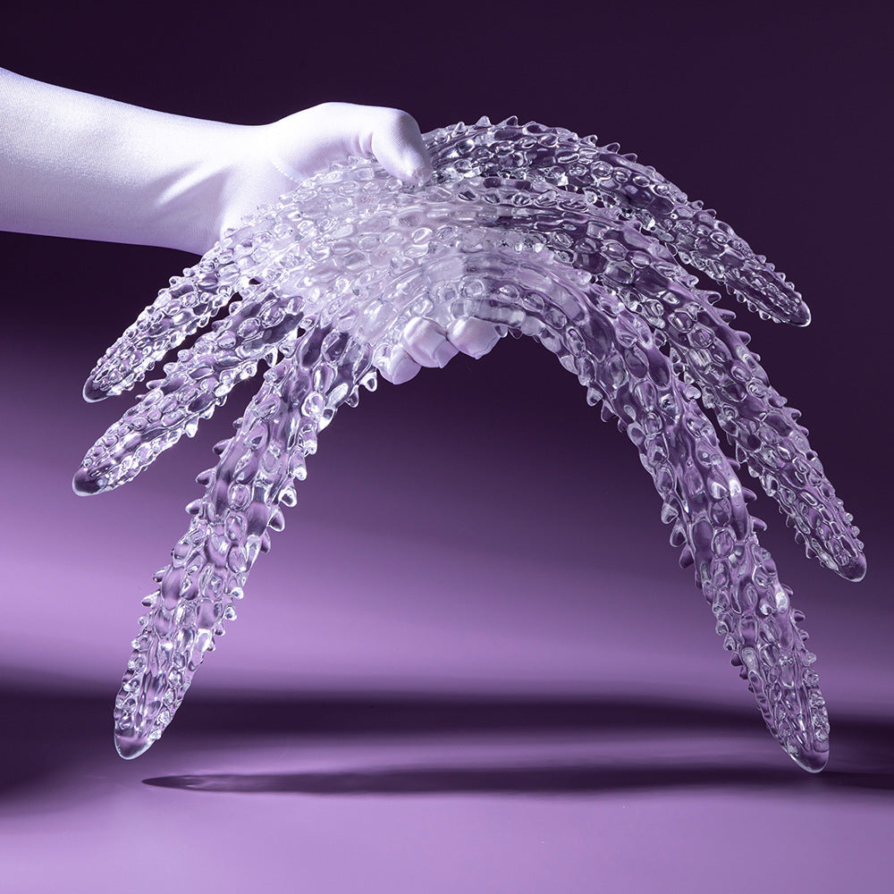 Anal Wellness & Play